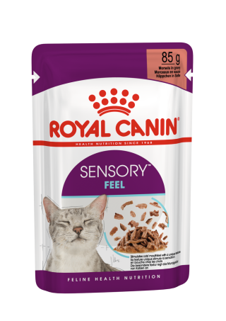 Sensory Feel (in gravy)